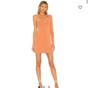 Lovers and friends mini dress